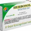 Herbosol c 60 compresse