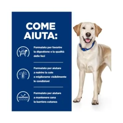 Hill's Prescription Diet D/D Crocchette Di Anatra E Riso Per Cani Sacco 12kg
