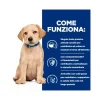 Hill's Prescription Diet Derm Complete Puppy Crocchette Per Cuccioli Sacco 12Kg