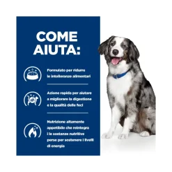 Hill's Prescription Diet I/D Digestive Care Sensitive Crocchette Per Cani Con Uova/Riso Sacco 4kg