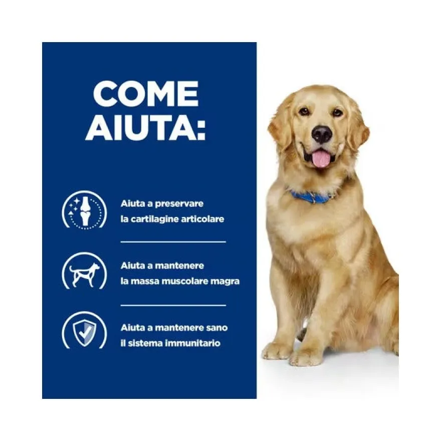 Hill's Prescription Diet J/D Mobility Crocchette Per Cani Adulti Sacco 1,5kg