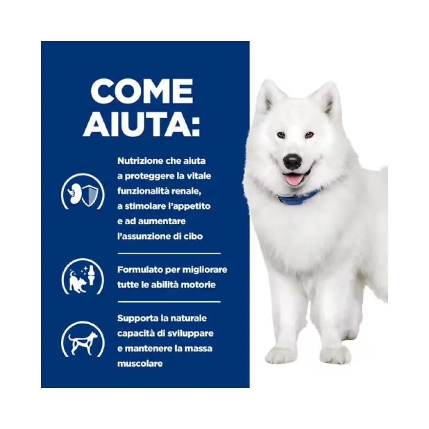 Hill's Prescription Diet K/d + Mobility Spezzatino Per Cani 345g