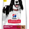 Hill's Science Plan Adult 1-6 Medium Lamb & Rice 2,5kg