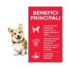 Hill's Science Plan Adult Small E Mini Fino A 10 Kg Per Cani Crocchette Pollo Sacco 1,5kg