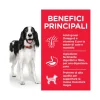 Hill's Science Plan Bocconcini Pollo Per Cani Adulti Lattina 370g