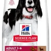 Hill's Science Plan Crocchette Agnello E Riso Cani Taglia Media Sacco 18kg