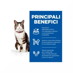 Hill's Science Plan Culinary Creations Medium Adult Crocchette per Gatti con Salmone E Carote 10kg