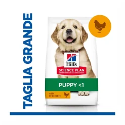 Hill's Science Plan Large Breed Puppy Crocchette Con Pollo Per Cuccioli Sacco 14,5Kg