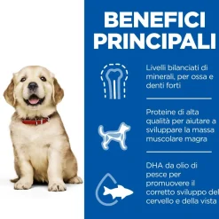 Hill's Science Plan Large Breed Puppy Crocchette Con Pollo Per Cuccioli Sacco 14,5Kg