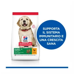 Hill's Science Plan Large Breed Puppy Crocchette Con Pollo Per Cuccioli Sacco 14,5Kg