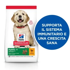 Hill's Science Plan Large Breed Puppy Crocchette Con Pollo Per Cuccioli Sacco 2,5 Kg