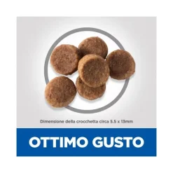Hill's Science Plan Large Breed Puppy Crocchette Con Pollo Per Cuccioli Sacco 2,5 Kg