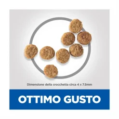 Hill's Science Plan Light Small & Mini Adult Crocchette Con Pollo Per Cani Sacco 6 Kg