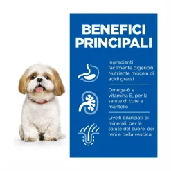 Hill's Science Plan Mature Adult 7+ Crocchette con Pollo per Cani Taglia Piccola Sacco 6 Kg