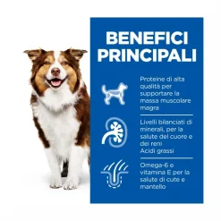 Hill's Science Plan Mature Adult 7+ Crocchette con Pollo per Cani Taglia Media Sacco 14 Kg