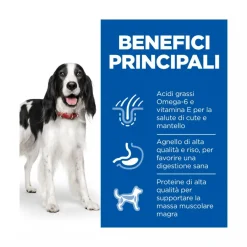 Hill's Science Plan Medium Adult Crocchette con Agnello e Riso per Cani Sacco 14 Kg