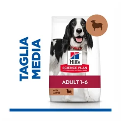 Hill's Science Plan Medium Adult Crocchette con Agnello e Riso per Cani Sacco 14 Kg