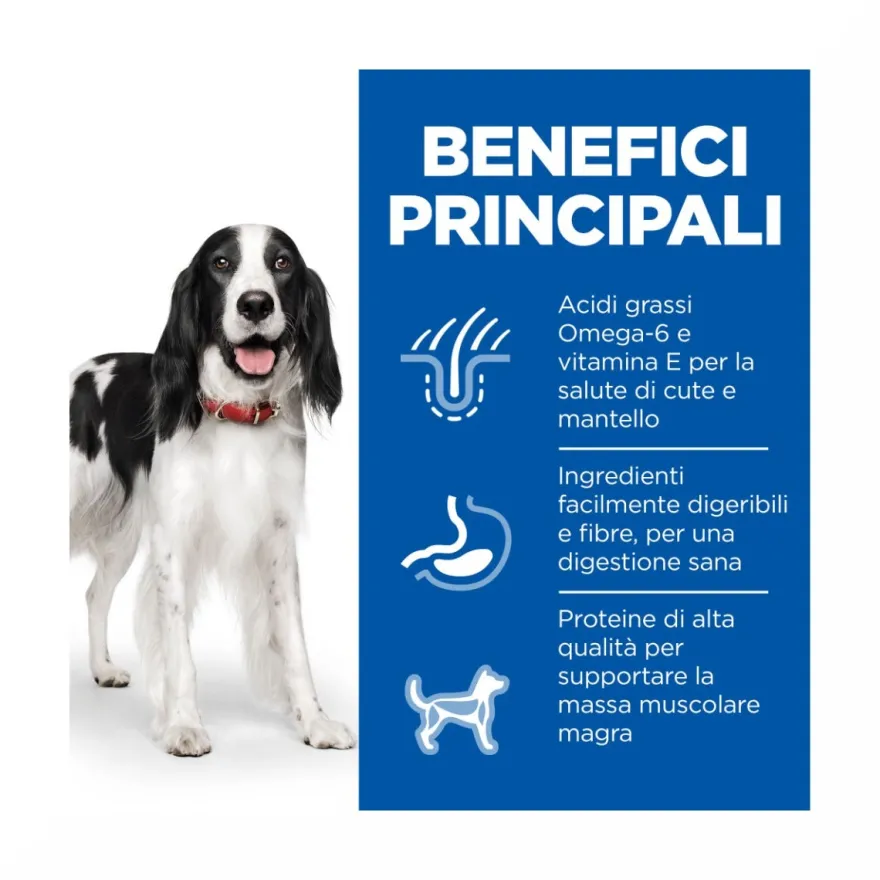 Hill's Science Plan Medium Adult Crocchette con Pollo Per Cani Sacco 14 Kg