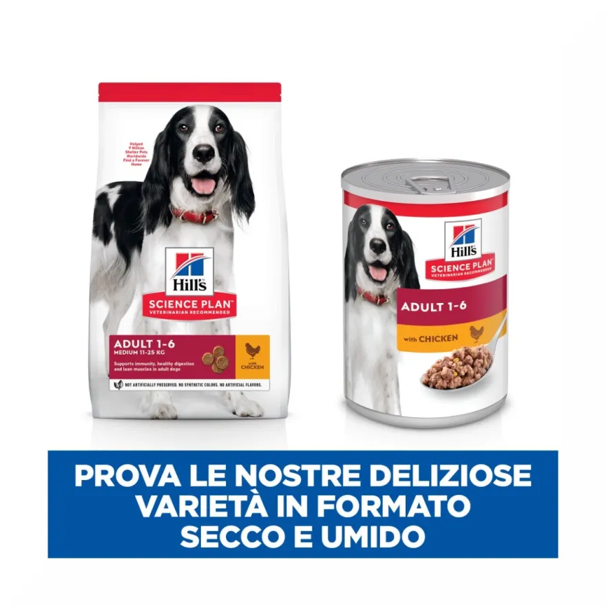 Hill's Science Plan Medium Adult Crocchette con Pollo Per Cani Sacco 14 Kg