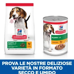 Hill's Science Plan Medium Breed Puppy Crocchette Con Pollo Per Cuccioli Sacco 14 Kg