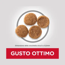 Hill's Science Plan Medium Croccantini Per Cani Adulti Con Pollo Sacco 2,5 Kg