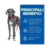 Hill's Science Plan Perfect Digestion Crocchette Pollo E Riso Integrale Cani Taglia Media Sacco 14kg