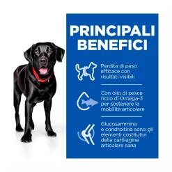 Hill's Science Plan Perfect Weight & Active Mobility Adult Crocchette Con Pollo Per Cani Taglia Grande Sacco 12 Kg