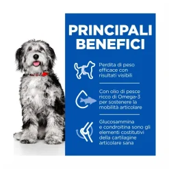 Hill's Science Plan Perfect Weight & Active Mobility Adult Crocchette Con Pollo Per Cani Taglia Media Sacco 2,5 Kg