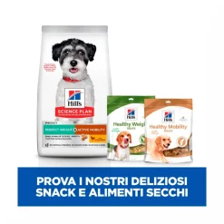 Hill's Science Plan Perfect Weight & Active Mobility Adult Crocchette Con Pollo Per Cani Taglia Piccola Sacco 1,5 kg