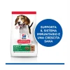 Hill's Science Plan Puppy Medium Crocchette All'agnello E Riso Per Cuccioli Sacco 14 Kg