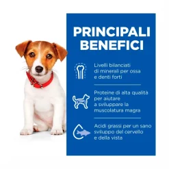 Hill's Science Plan Small & Mini Adult Crocchette con Agnello e Riso per Cani Sacco 6 Kg