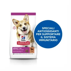 Hill's Science Plan Small & Mini Adult Crocchette con Agnello e Riso per Cani Sacco 6 Kg