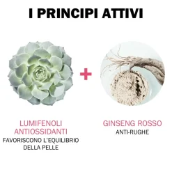 Jowae Crema Leggera Levigante Antirughe 40ml