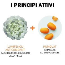 Jowae Gel Occhi Vitaminizzato Energizzante 15ml