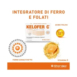 Kelofer C 14 Buste