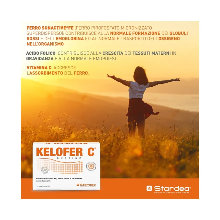 Kelofer C 14 Buste