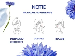 Klorane Crema Notte Idratante Fiordaliso Bio 50ml