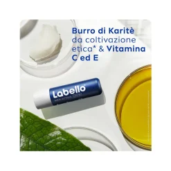 Labello Active for Men Burrocacao Labbra Idratante E Protettivo Con Spf15 Con Burro Di Karité 4,8g