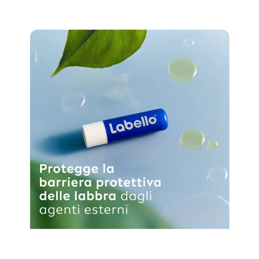 Labello Classic Care Balsamo Burrocacao Classico Fondente Sulle Labbra 4,8g