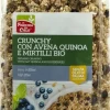 La Finestra Sul Cielo Crunchy Con Avena Quinoa E Mirtilli Bio 375g