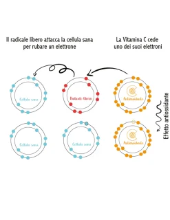 La Saponaria Attivo Puro Vitamina C 30ml