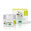 LINEA 1 CR NOTTE RINORMALIZZ