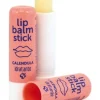 LIP BALM STICK IDRATANTE 4,5ML