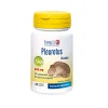 Longlife Pleurotus Bio 60 Capsule