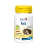 LongLife Poria Bio 60 Capsule