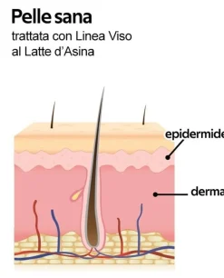 Lr Wonder Siero Madre Viso Latte D'Asina 30ml