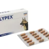 Lypex Integratore Animali Domestici 60 Capsule Digestione Sana
