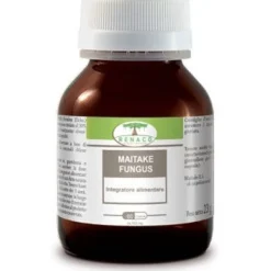 Maitake Fungus 60 Capsule