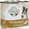 Marpet Aequilibriavet Dog Storione Cibo Umido Per Cani Adulti Scatoletta 400g