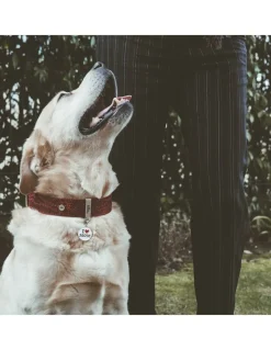 Medaglietta Per Cani E Gatti Personalizzata I Love Mom